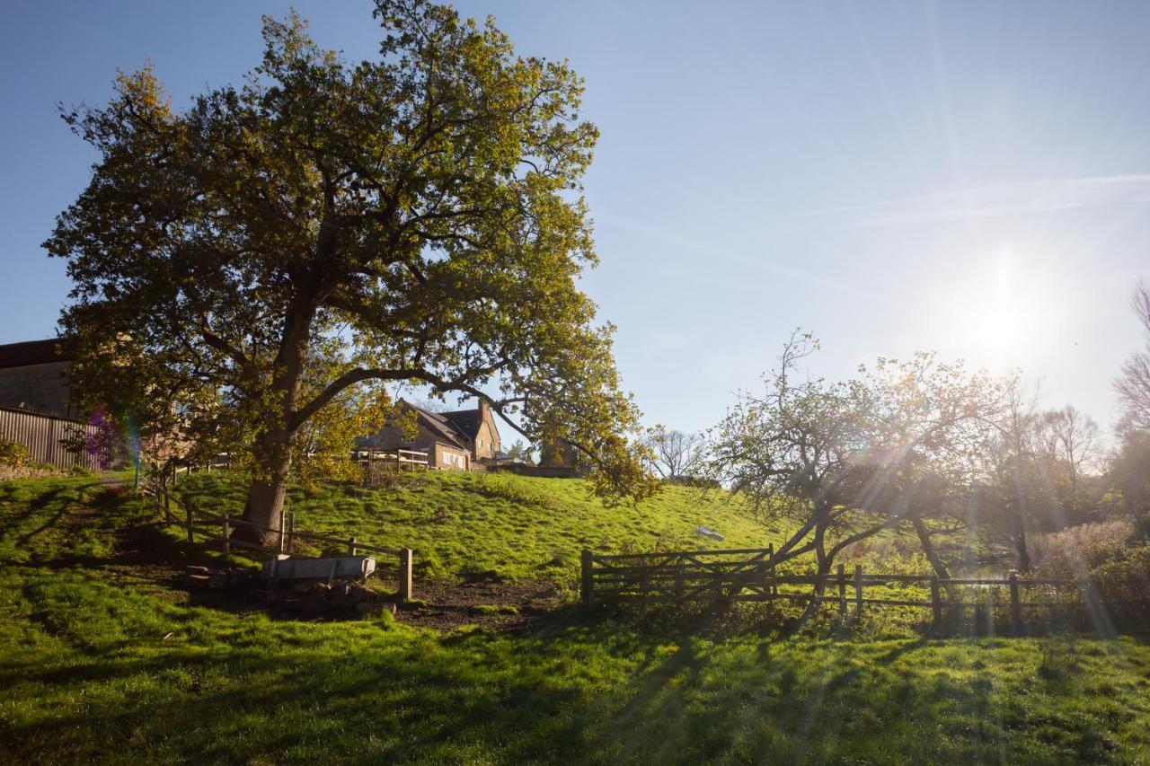 Parnham Cottage Bridport Buitenkant foto